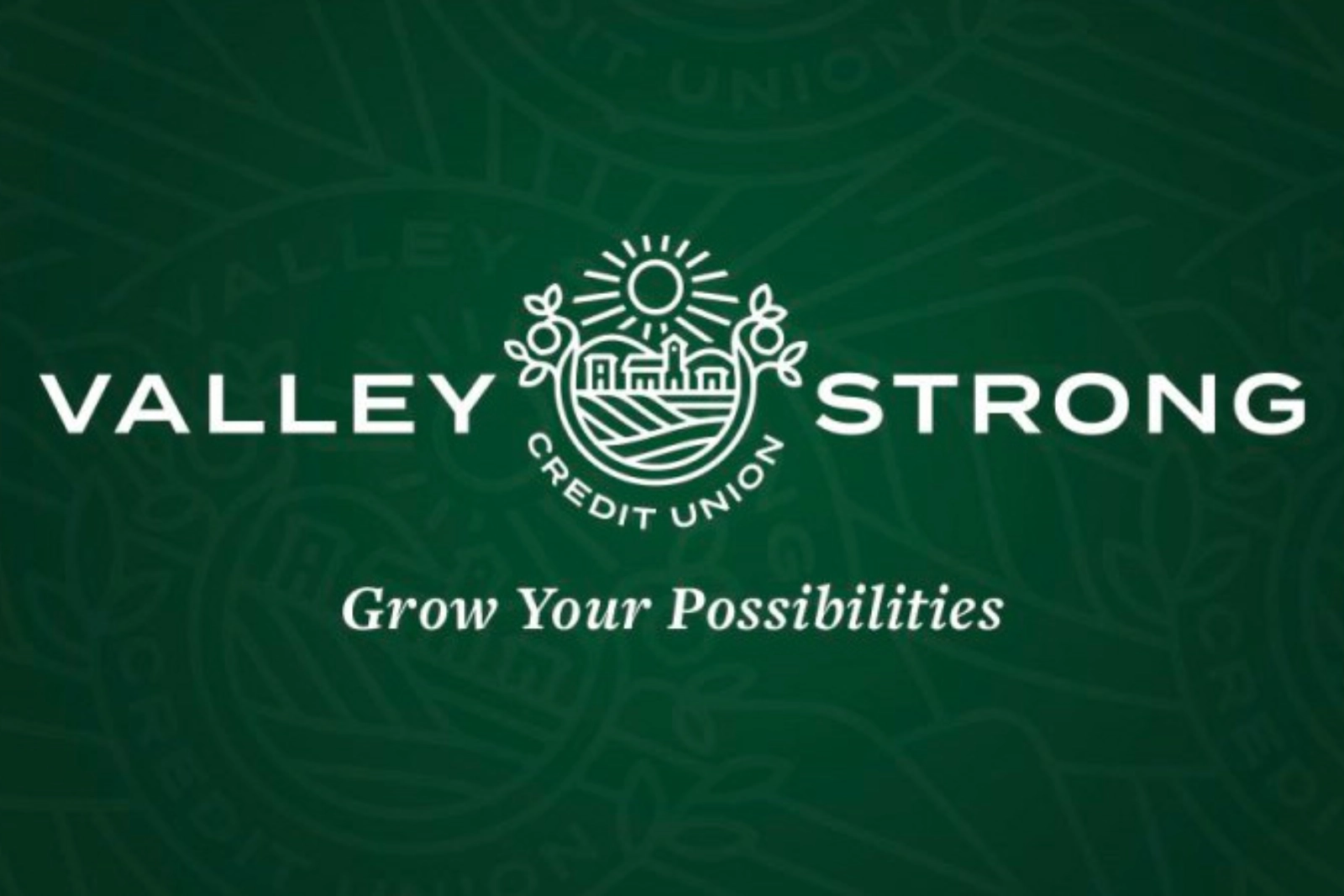 Valley Strong Credit Union - Grow Your Possibilities