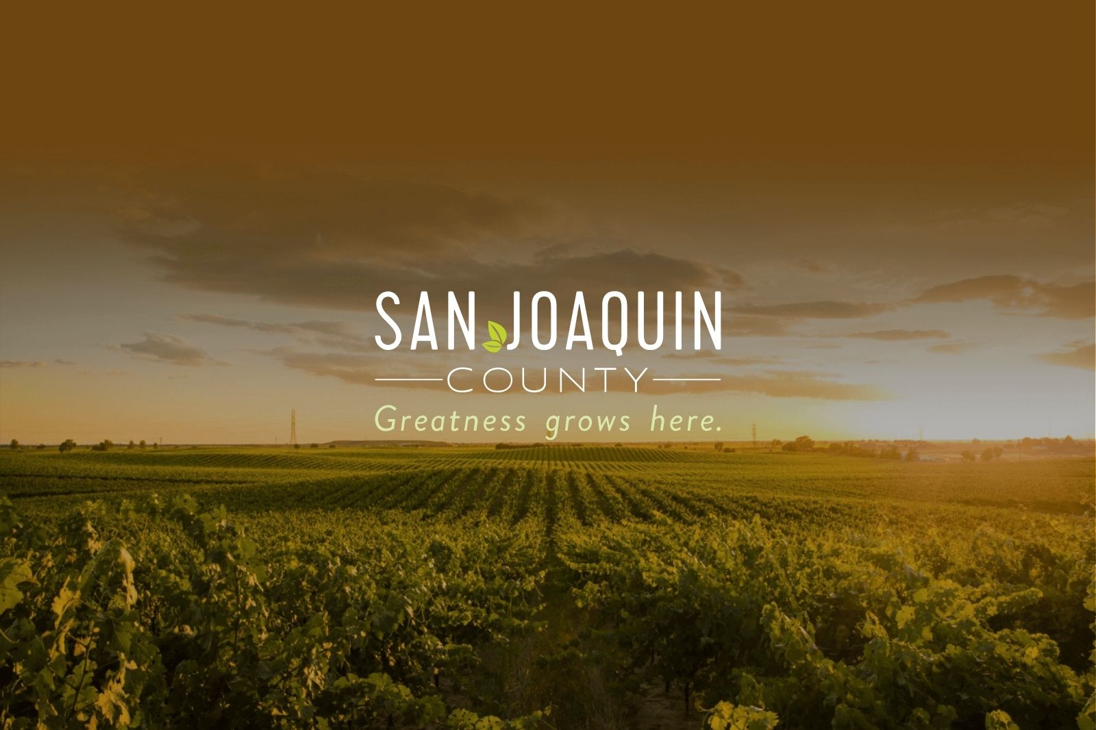 A vineyard in San Joaquin County with the SJC logo on top